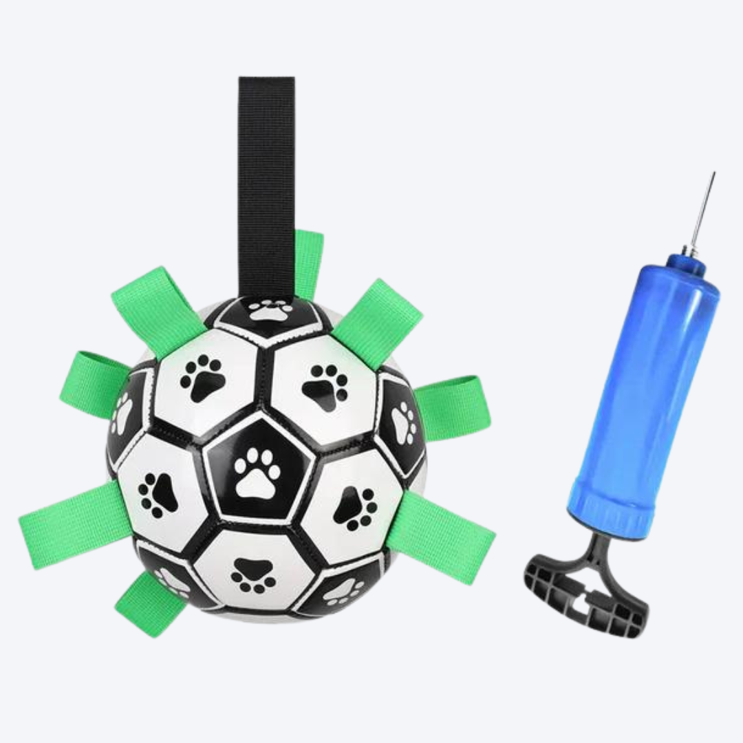 PawBall - Interactive Soccer Ball for Dogs